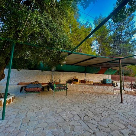 Oak Farm مزرعة الملّول Konuk evi ‘Ajlūn Dış mekan fotoğraf