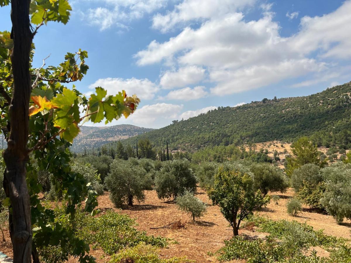 Oak Farm مزرعة الملّول Konuk evi ‘Ajlūn Dış mekan fotoğraf