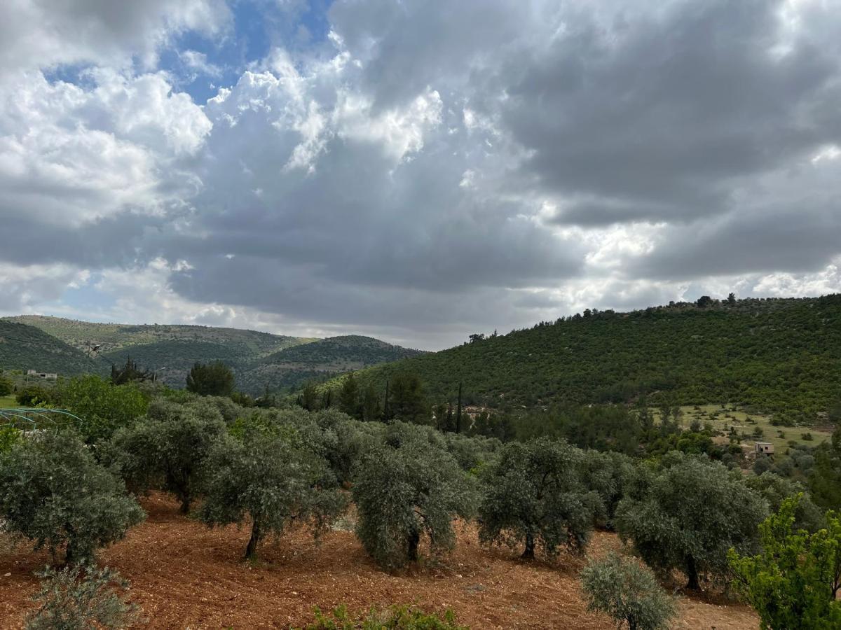 Oak Farm مزرعة الملّول Konuk evi ‘Ajlūn Dış mekan fotoğraf